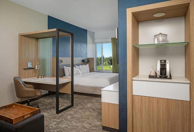 سوئیت با تخت بزرگ, Springhill Suites By Marriott West Sacramento