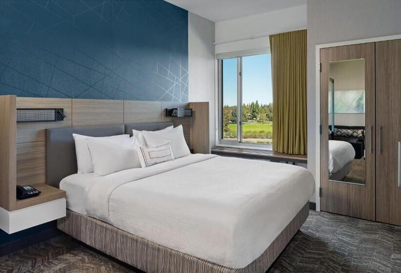 سوئیت با تخت بزرگ, Springhill Suites By Marriott West Sacramento