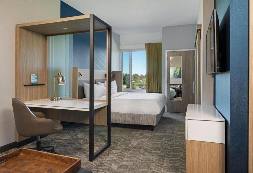 带大床的套房, Springhill Suites By Marriott West Sacramento