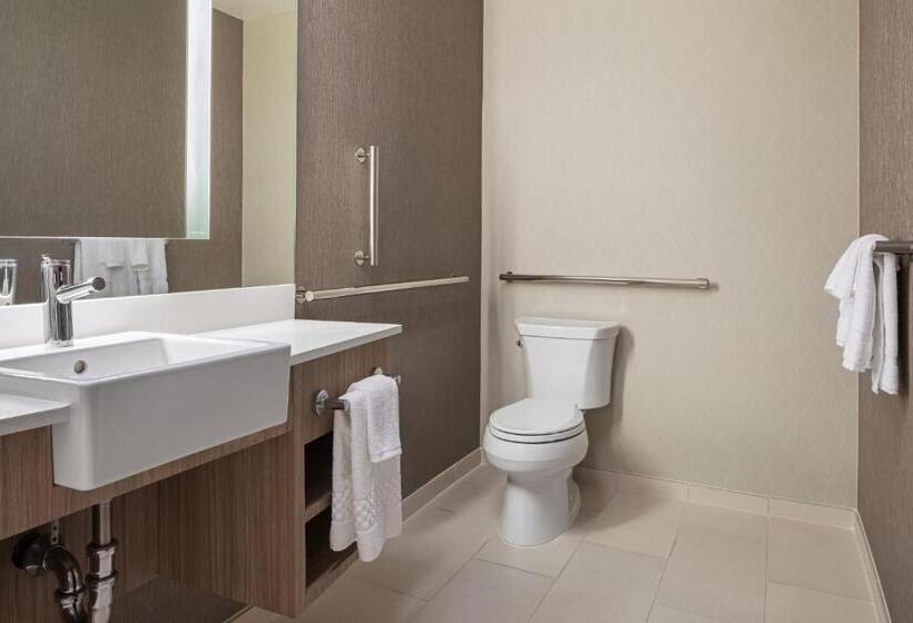 带大床的套房, Springhill Suites By Marriott West Sacramento