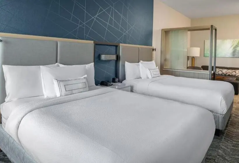 スイート, Springhill Suites By Marriott West Sacramento