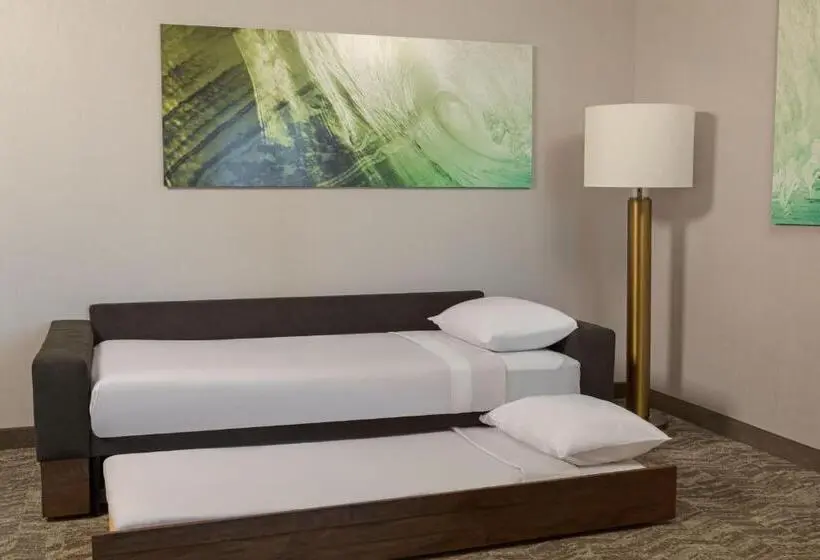 身障者適用スイートルーム, Springhill Suites By Marriott West Sacramento