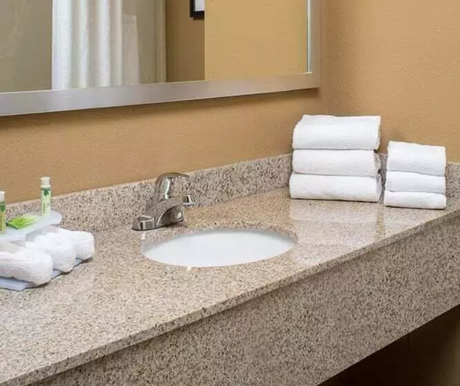 スイート, Holiday Inn Express   Clermont, An Ihg