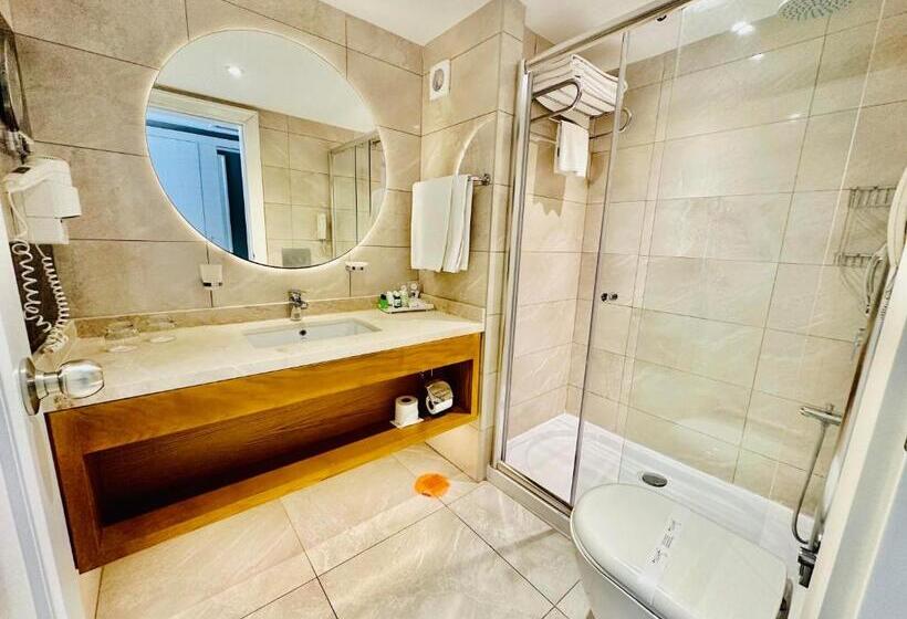 스탠다드 테라스 룸, Sidera Kirman Premium   Ultra All Inclusive