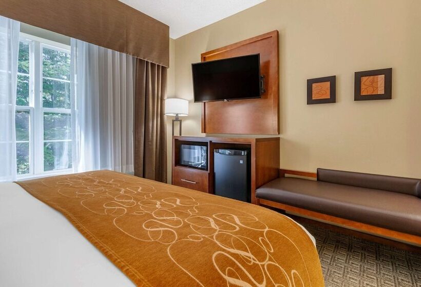 Люкс, Comfort Suites