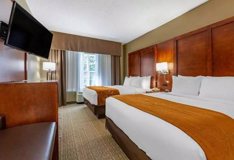 سوئیت برای معلولان, Comfort Suites
