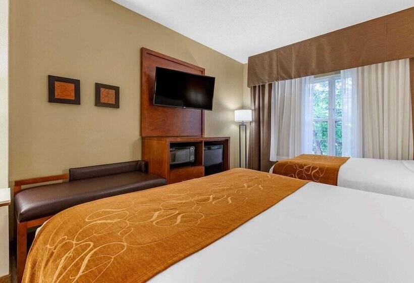 جناح لذوى الاحتياجات الخاصة, Comfort Suites