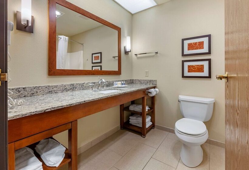 Люкс Адаптированный для Инвалидов, Comfort Suites