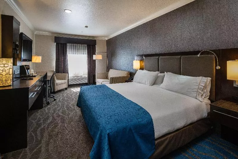 سوئیت با تخت بزرگ, Holiday Inn Express & Suites Santa Clara, An Ihg