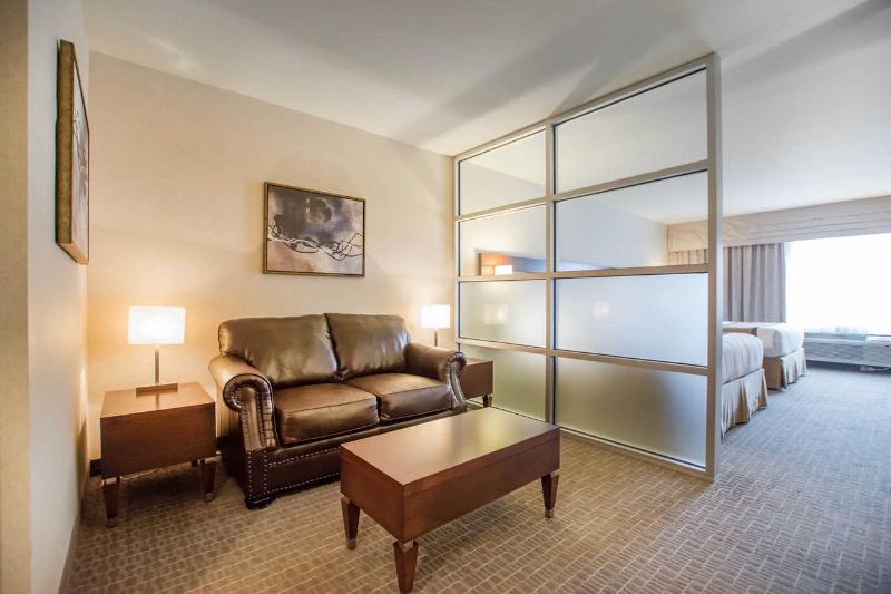 غرفة قياسية, Holiday Inn Express & Suites Santa Clara, An Ihg