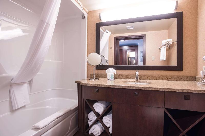 غرفة قياسية, Holiday Inn Express & Suites Santa Clara, An Ihg