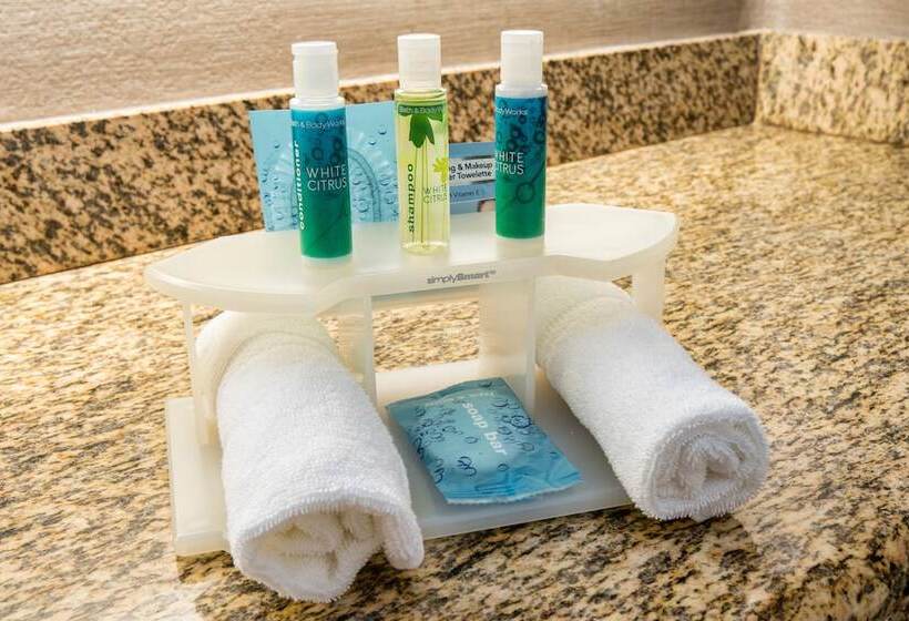 غرفه قياسيه سريرين مزدوجين, Holiday Inn Express & Suites Santa Clara, An Ihg