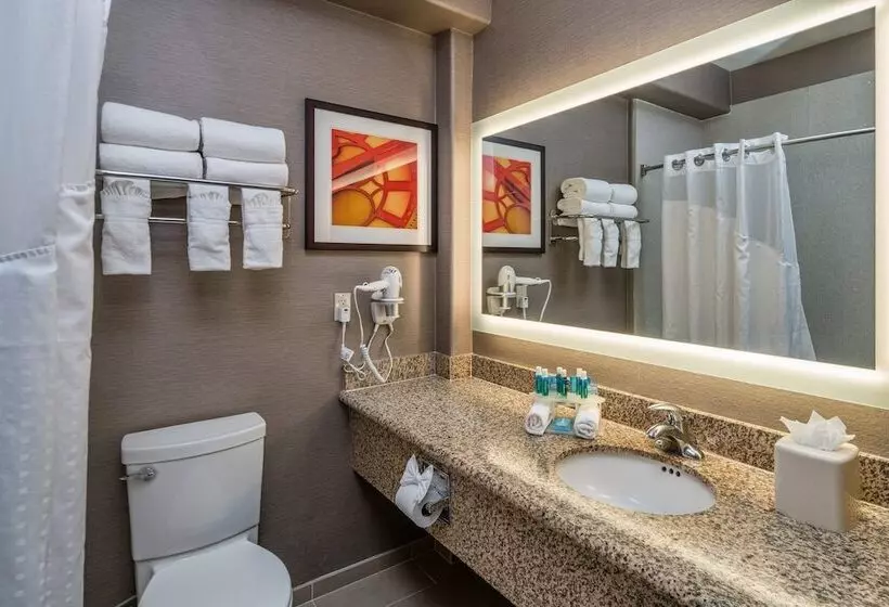 اتاق استاندارد با 2 تخت دوبل, Holiday Inn Express & Suites Santa Clara, An Ihg