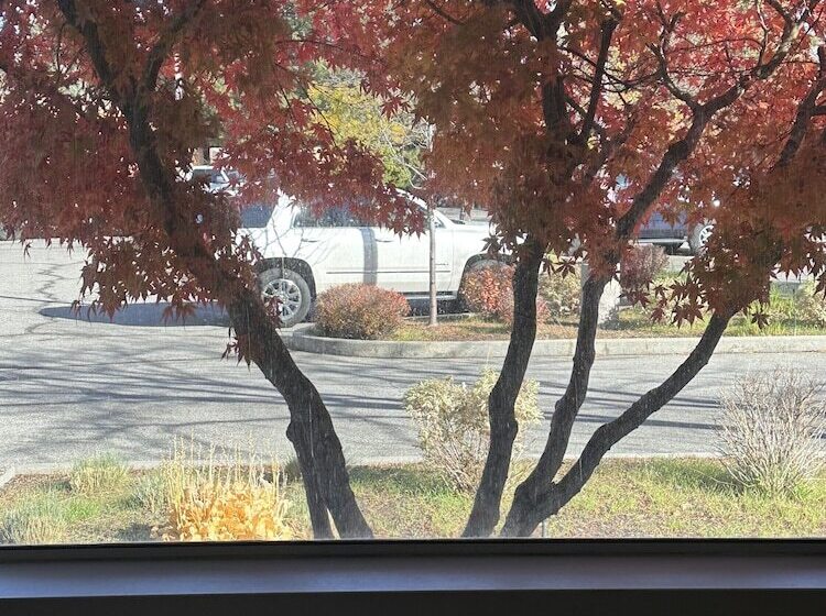 غرفه قياسيه سريرين مزدوجين, Holiday Inn Express Boise Downtown, An Ihg