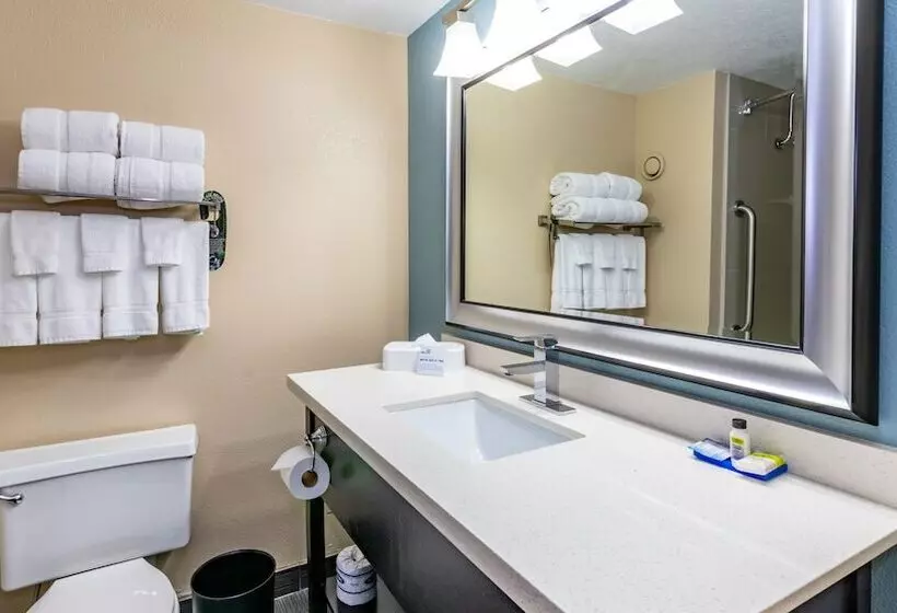 اتاق استاندارد با تخت دوبل, Holiday Inn Express Boise Downtown, An Ihg