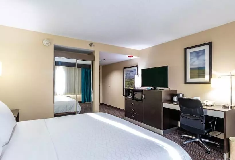اتاق استاندارد با تخت دوبل, Holiday Inn Express Boise Downtown, An Ihg