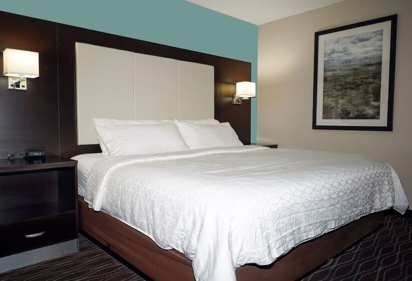 غرفة قياسية سرير مزدوج, Holiday Inn Express Boise Downtown, An Ihg