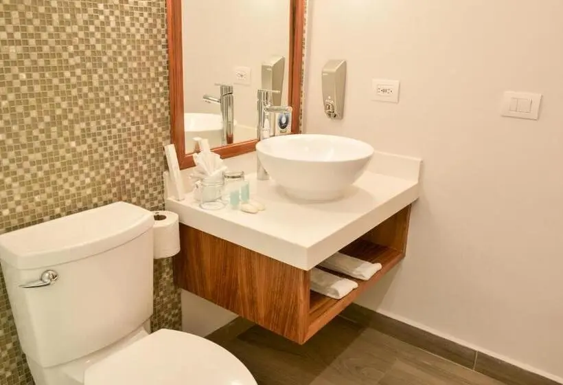 اتاق سوپریور خانوادگی, Sandos Caracol Nature Resort & Water Park