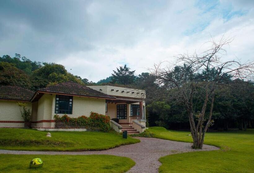 주니어 스위트, Bosques Del Sol Suites