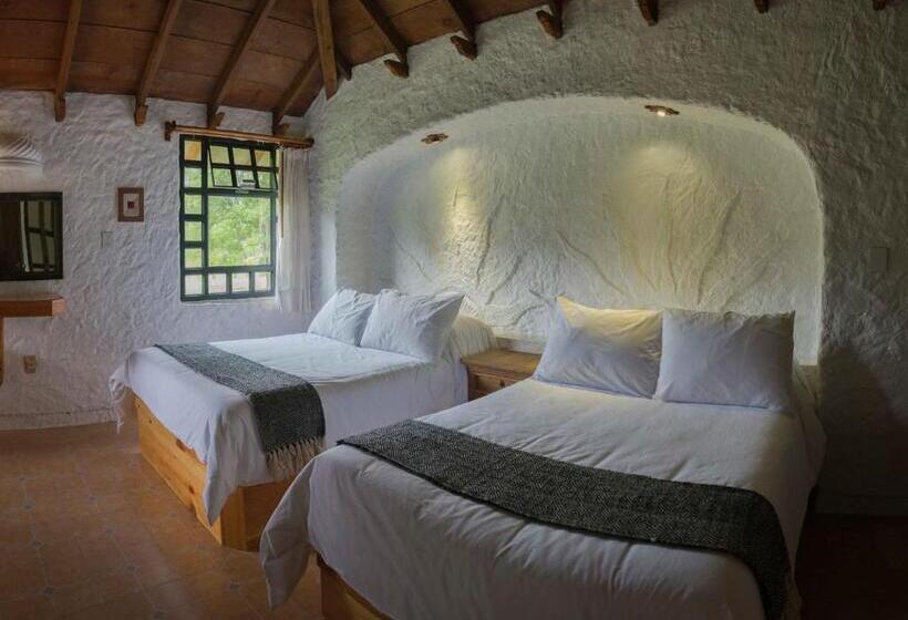 주니어 스위트, Bosques Del Sol Suites