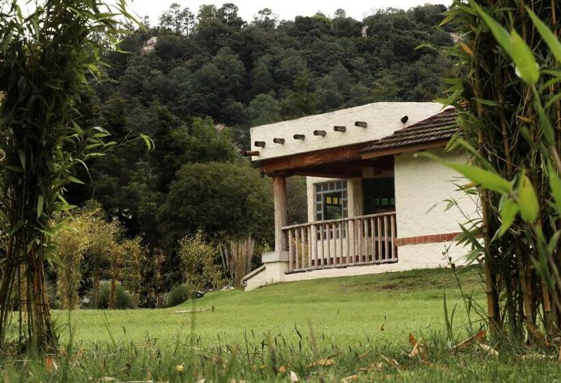 패밀리 스위트, Bosques Del Sol Suites