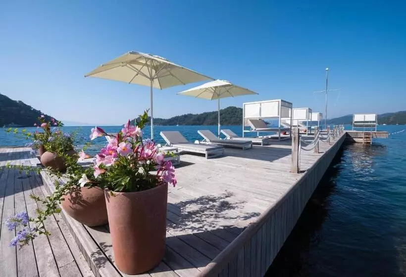 سوئیت جونیور با استخر, D Resort Gocek