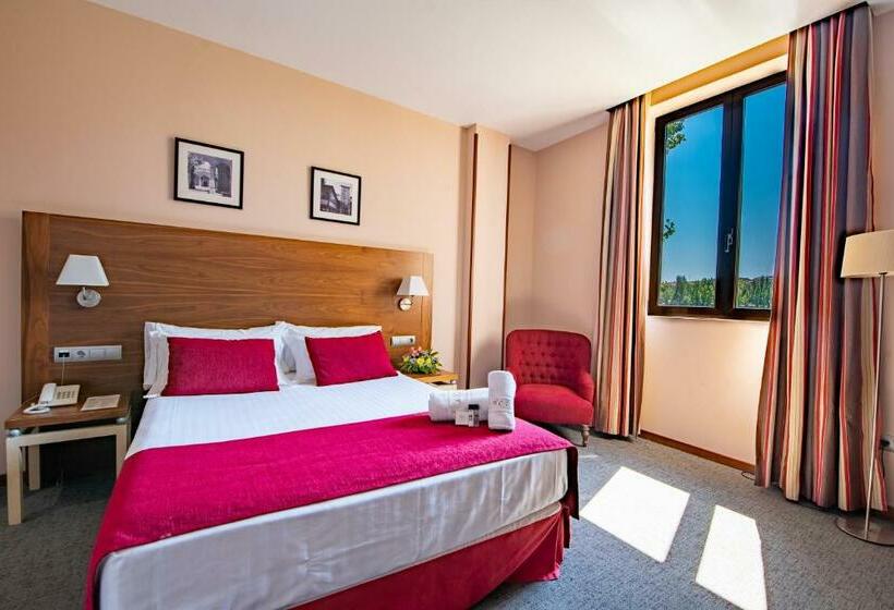 غرفة قياسية, Hospedium Hotel Casino Del Tormes