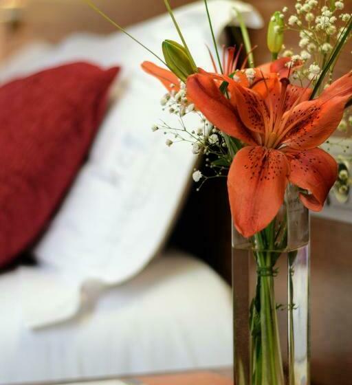 غرفة قياسية, Hospedium Hotel Casino Del Tormes