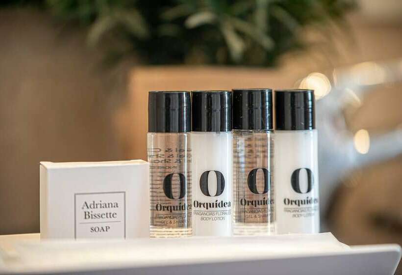 غرفة قياسية ثلاثية, Hospedium Hotel Casino Del Tormes