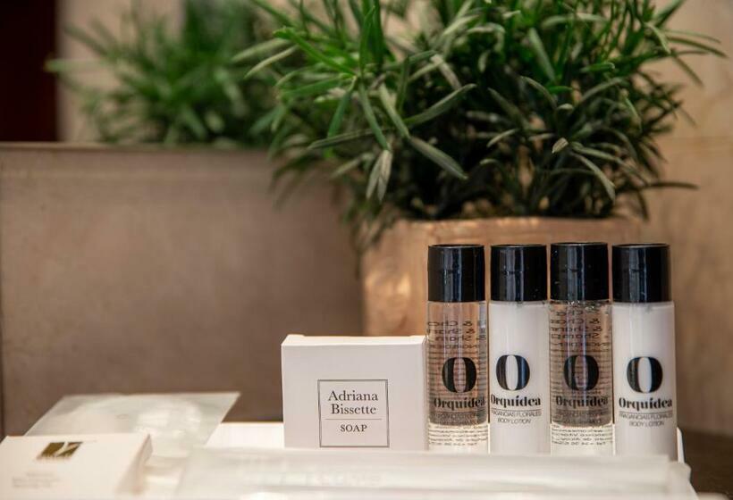 غرفة قياسية, Hospedium Hotel Casino Del Tormes