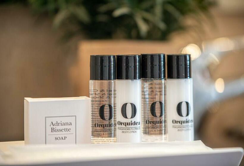 غرفة قياسية, Hospedium Hotel Casino Del Tormes