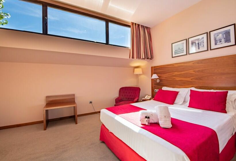 غرفة قياسية, Hospedium Hotel Casino Del Tormes