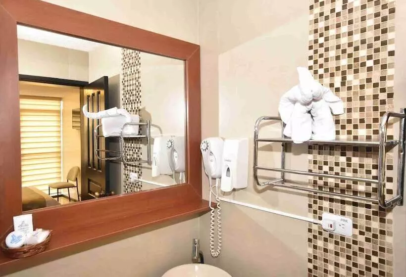 اتاق استاندارد یک نفره, Montecarlo