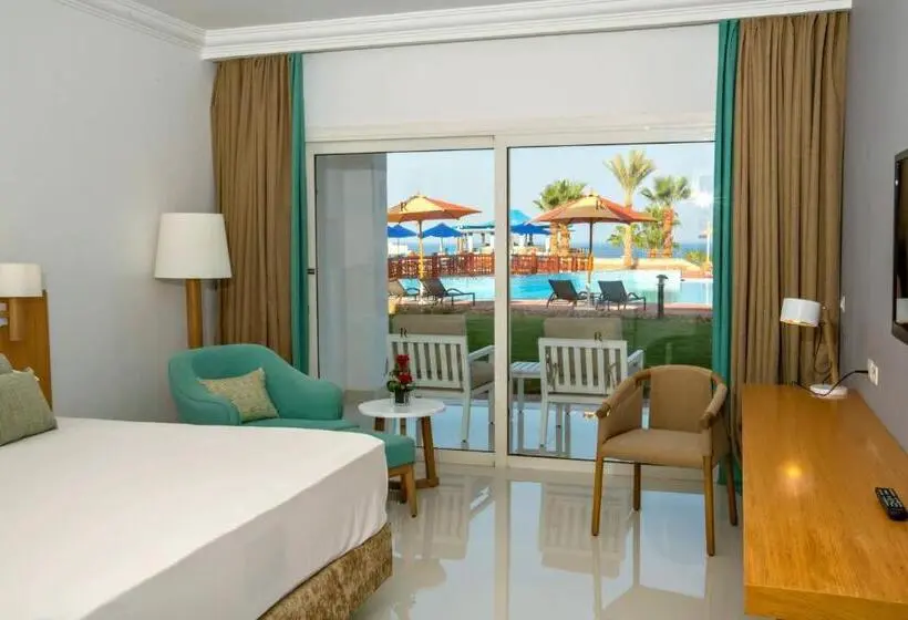 Standard Room King Size Bed