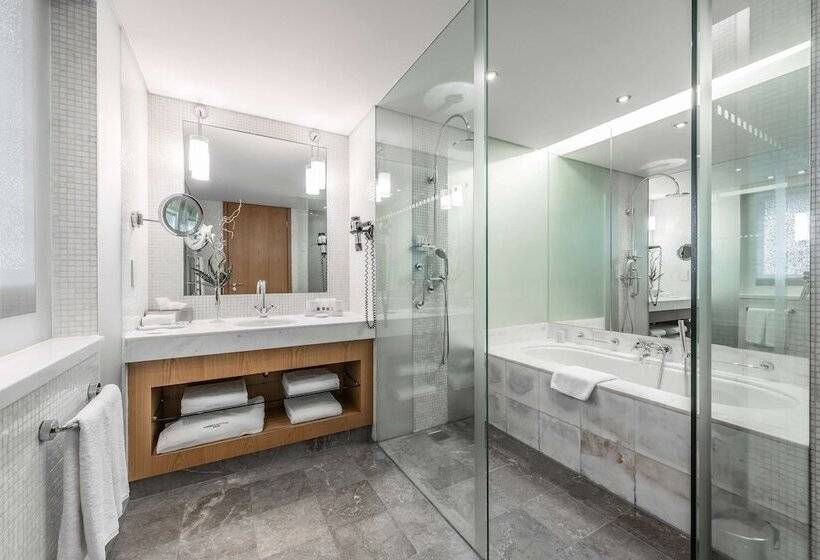 Standard-huone Parivuode, Swissotel Krasnye Holmy Moscow