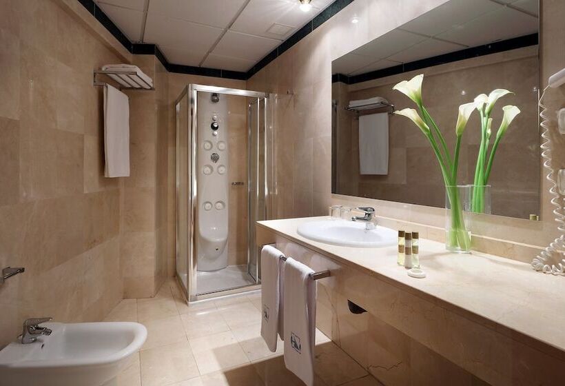 اتاق استاندارد, Eurostars Plaza Acueducto