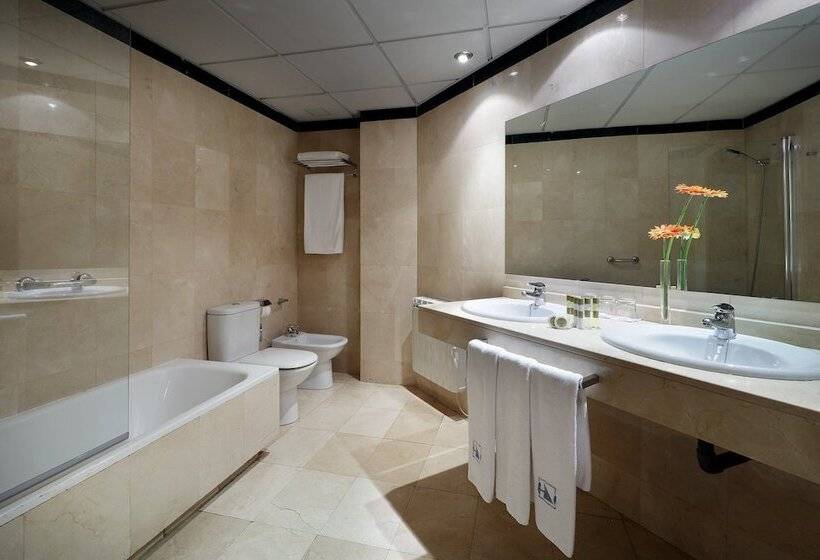 标准间, Eurostars Plaza Acueducto