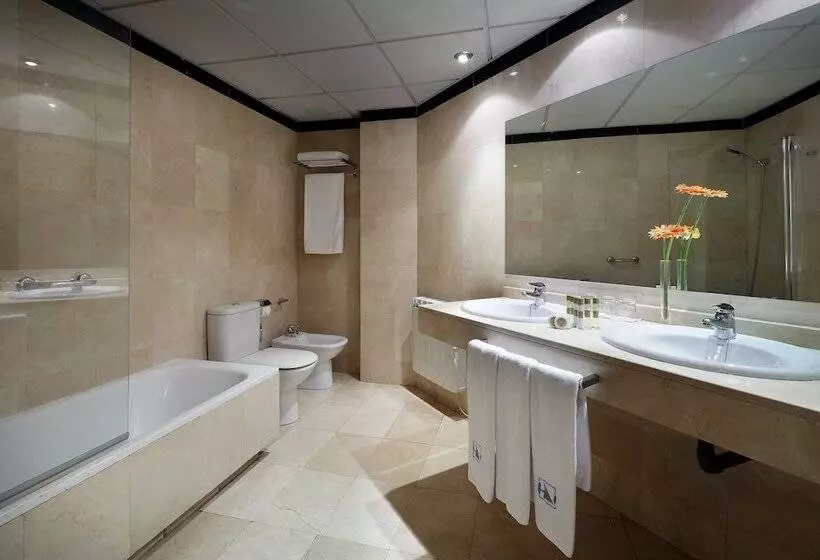 اتاق استاندارد, Eurostars Plaza Acueducto