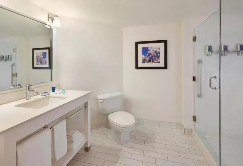اتاق لوکس با تخت بزرگ, Four Points By Sheraton Halifax