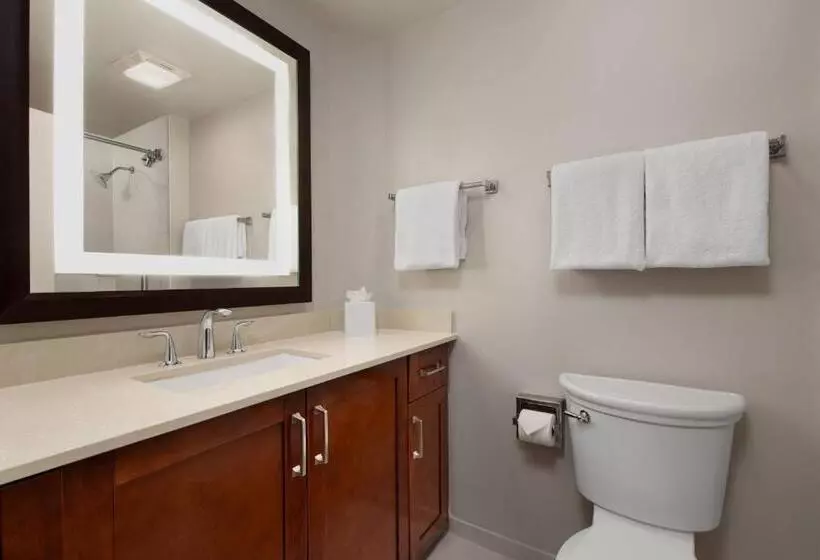 اتاق استاندارد با بالکن, Marriott S Beachplace Towers