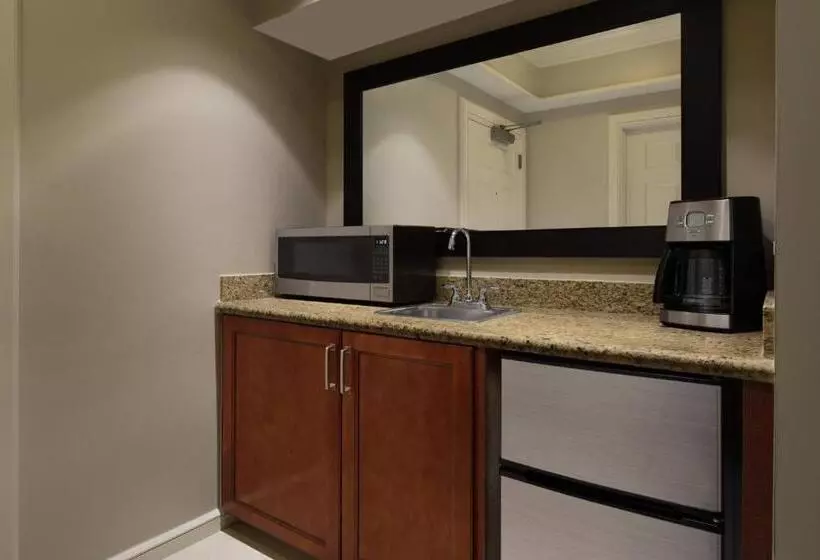 اتاق استاندارد با بالکن, Marriott S Beachplace Towers