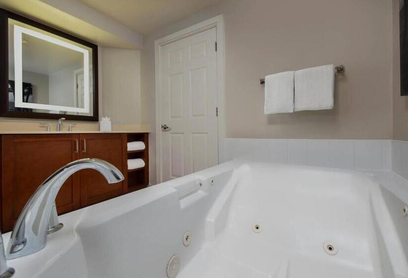 빌라 침실 1개, Marriott S Beachplace Towers