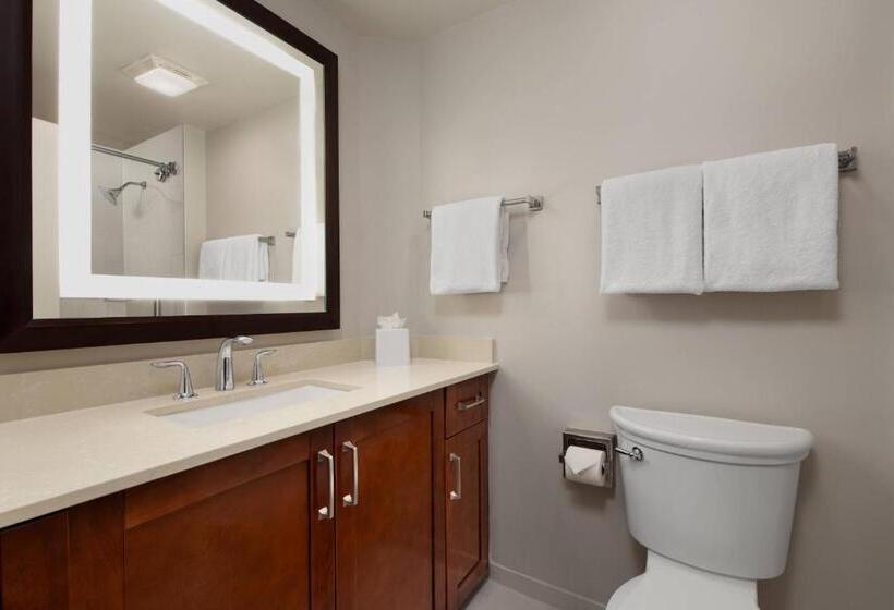 장애인을 위한 킹사이즈 침대 스탠다드 룸, Marriott S Beachplace Towers