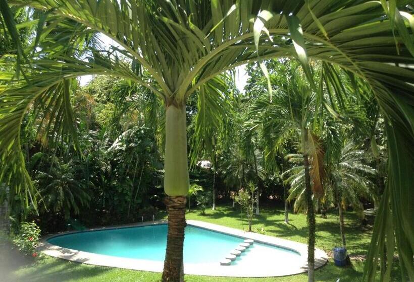 标准房带园景, Samara Beach