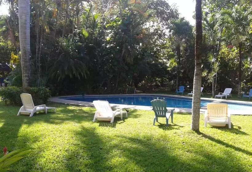 اتاق استاندارد با چشم‌انداز باغ, Samara Beach