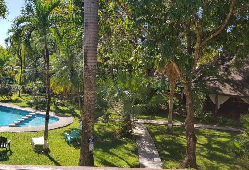 带阳台的三人标准间, Samara Beach