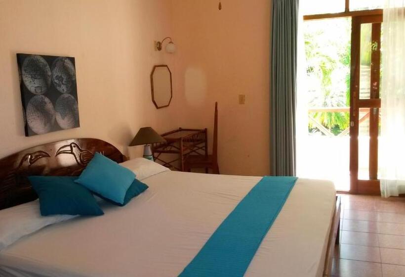 标准单人间, Samara Beach