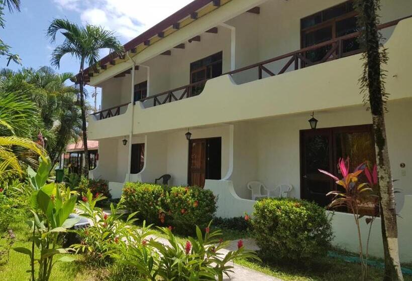 标准间, Samara Beach