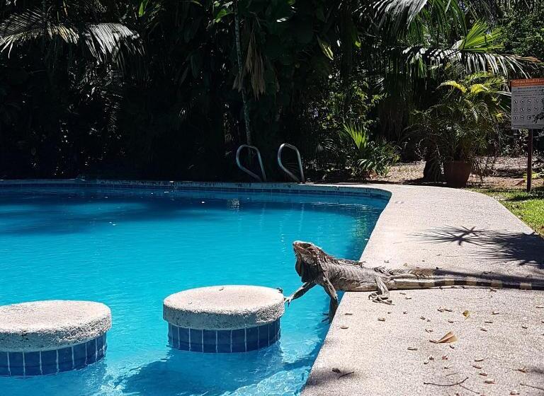 标准房带园景, Samara Beach