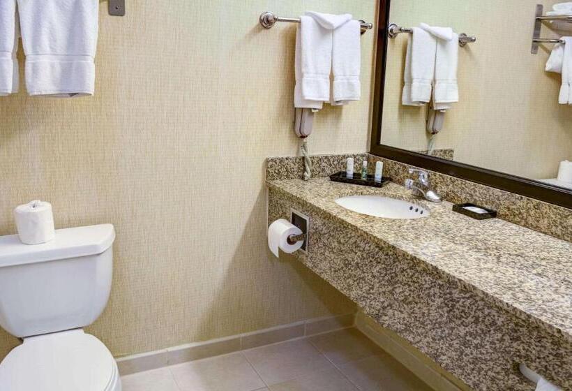 带大床的标准间, Tilt Hotel Universal Hollywood, Ascend Hotel Collection